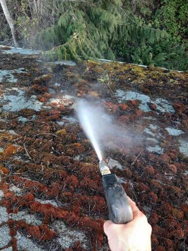 Cleaning Moss off of Roof